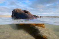 The French brigantine Providence or the German brigantine Albert Wilhelm are believed to be the most likely contenders (Picture: Cornwall Live/BPM Media)